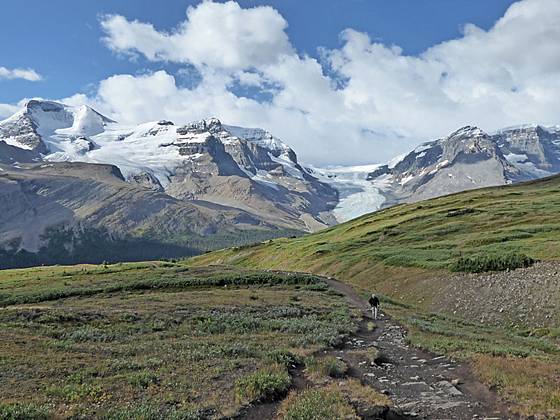 View from the Wilcox Ridge Trail 