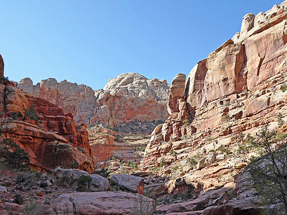 Soaring walls in lower Spring Canyon 