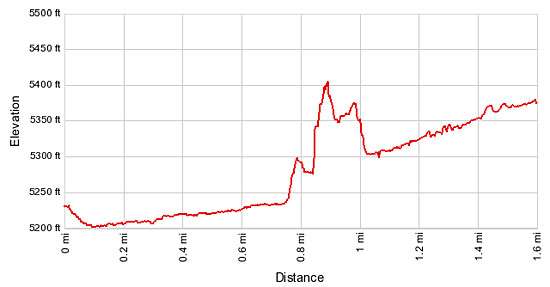 Elevation Profile - West Fork of Upper Butler Wash